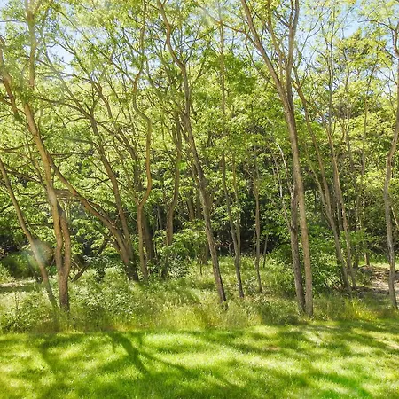 Reetdachhaus 27 Auf Usedom *