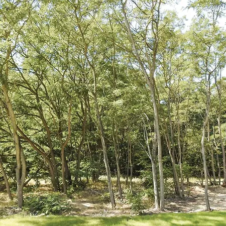 Ferienhaus Reetdachhaus 27 Auf Usedom