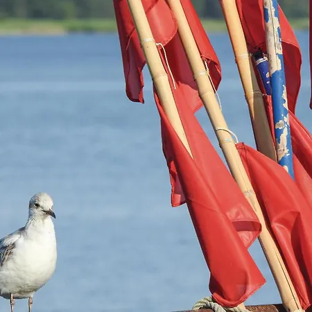 Reetdachhaus 27 Auf Usedom 펜션