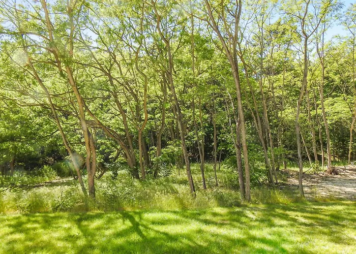 Reetdachhaus 27 Auf Usedom *